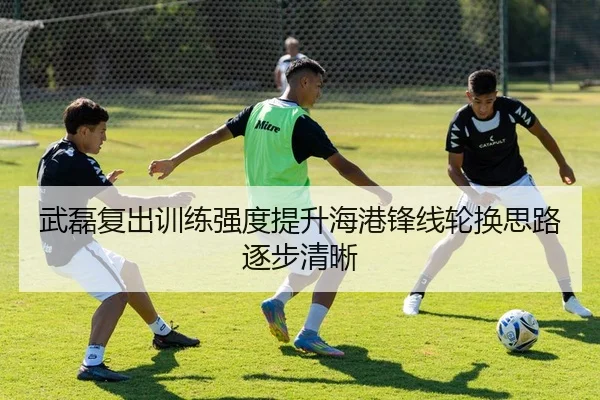 武磊复出训练强度提升海港锋线轮换思路逐步清晰