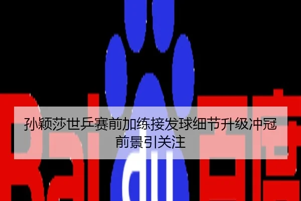 孙颖莎世乒赛前加练接发球细节升级冲冠前景引关注
