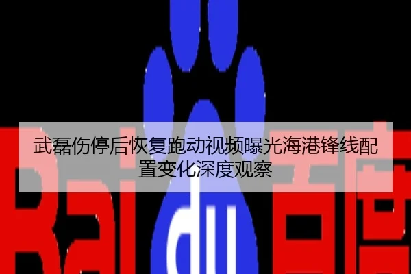 武磊伤停后恢复跑动视频曝光海港锋线配置变化深度观察