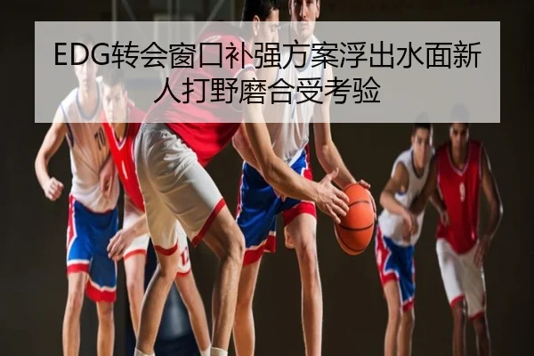 EDG转会窗口补强方案浮出水面新人打野磨合受考验